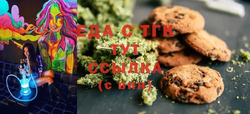 наркота  Сясьстрой  Canna-Cookies марихуана 